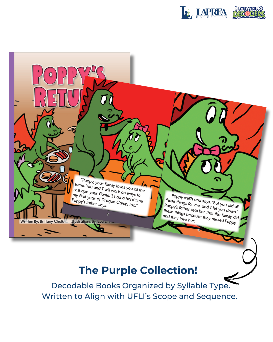 Developing Decoders Purple Collection Set 6: Affixes