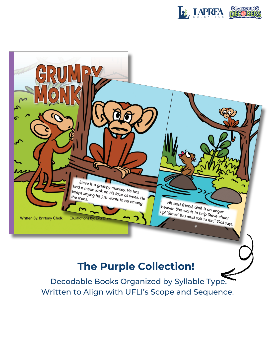 Developing Decoders Purple Collection Set 5: Vowel Teams (VV), and Silent Letters