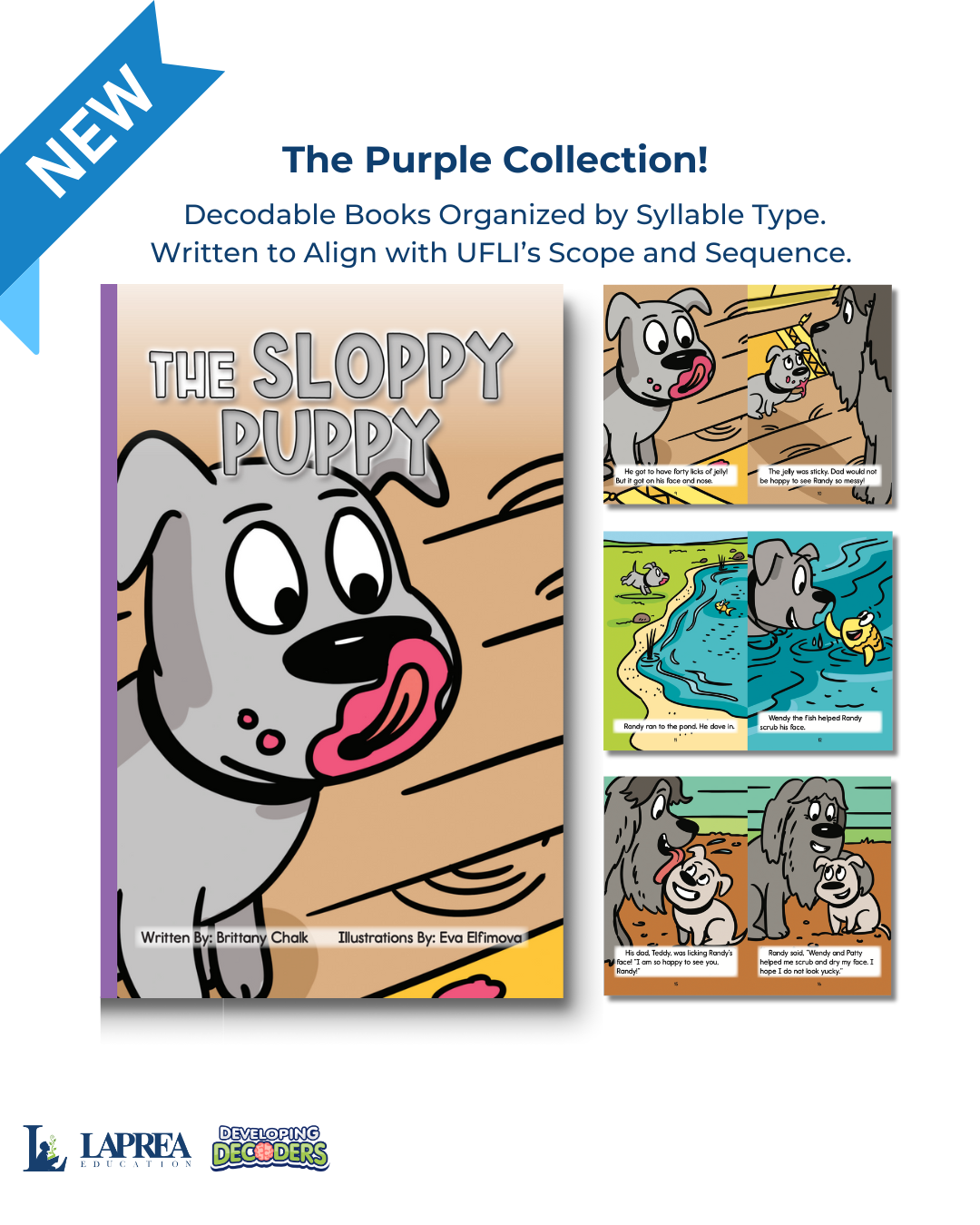Developing Decoders Purple Collection Set 3:  Open Syllables (CV), Final Stable Syllables (C+LE), and Other Word Endings