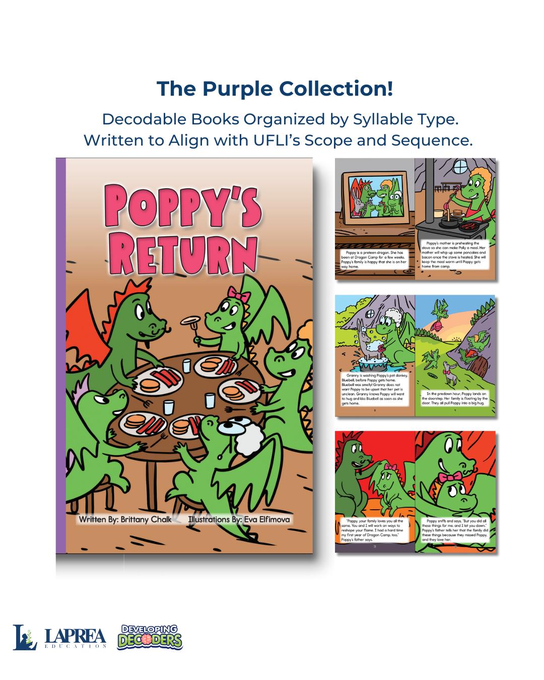 Developing Decoders Purple Collection Set 6:  Affixes