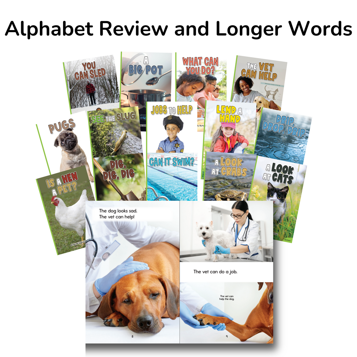 Developing Decoders First Grade Green Nonfiction Collection (75 titles, with 6 copies of each)