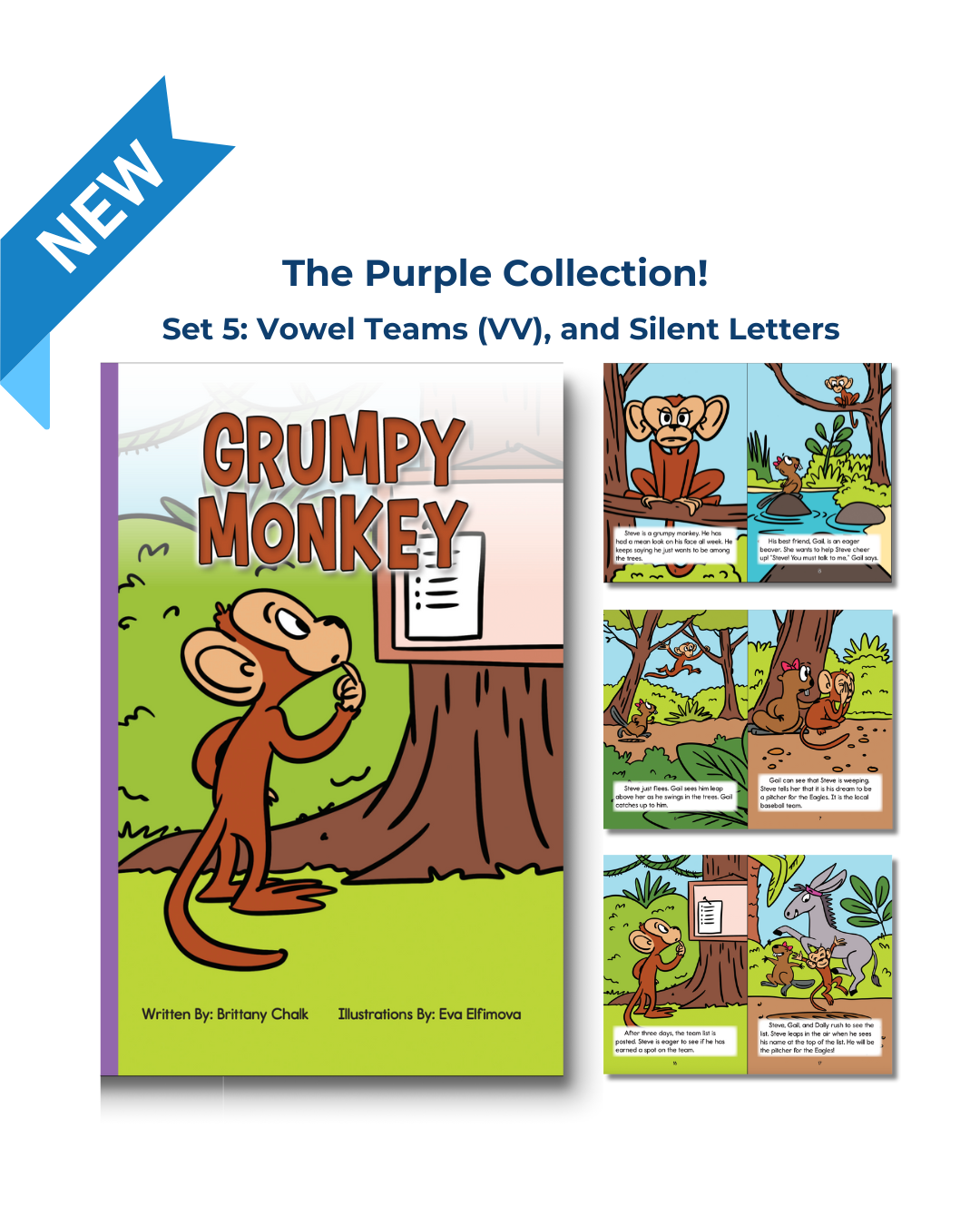 Developing Decoders Purple Collection Set 5: Vowel Teams (VV), and Silent Letters