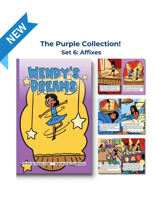 Developing Decoders Purple Collection Set 6:  Affixes