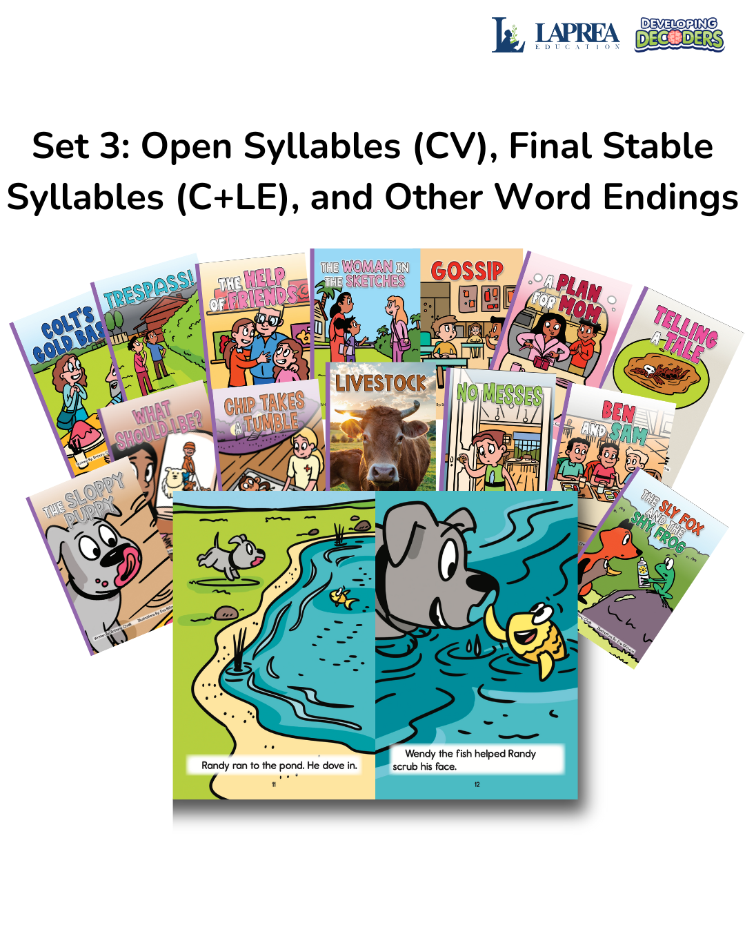 Developing Decoders Purple Collection Set 3:  Open Syllables (CV), Final Stable Syllables (C+LE), and Other Word Endings