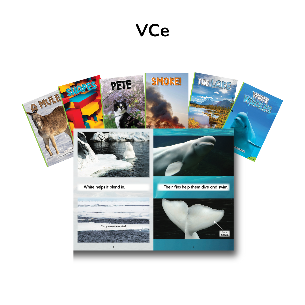 Developing Decoders Complete Green Nonfiction Collection (195 titles, with 6 copies of each)