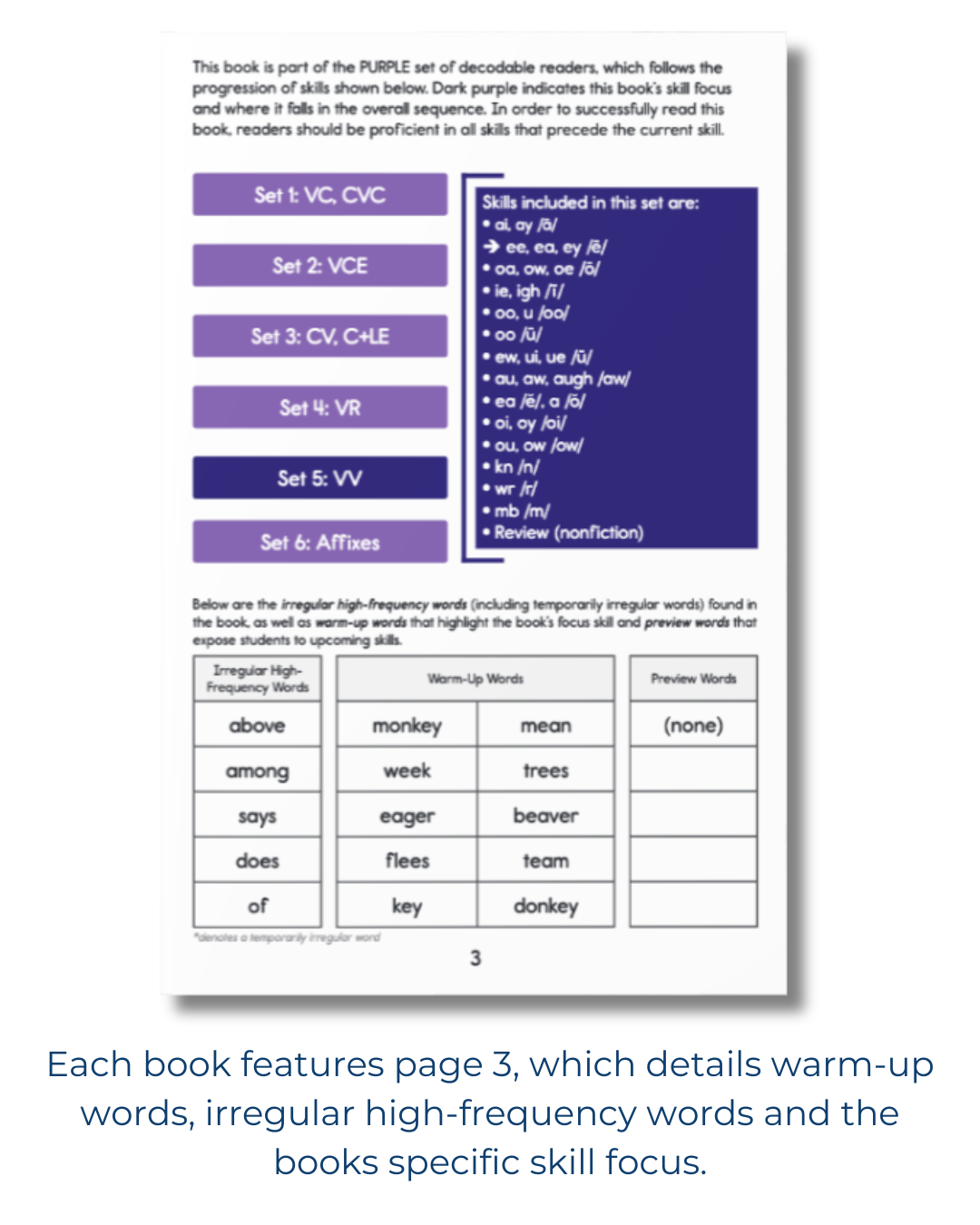 Developing Decoders Purple Collection Set 5: Vowel Teams (VV), and Silent Letters