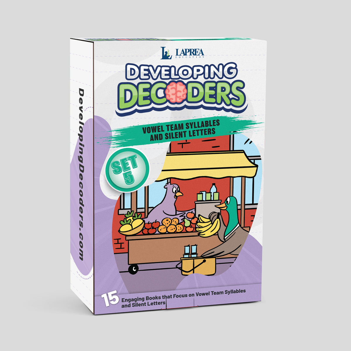 Developing Decoders Purple Collection Set 5: Vowel Teams (VV), and Silent Letters